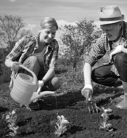 Sociálně terapeutické dílny